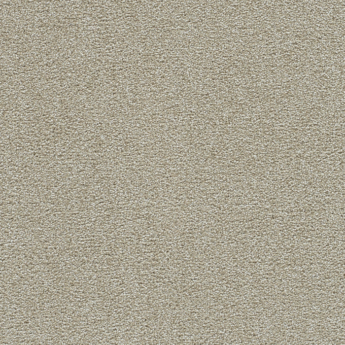 Clearwater II Polyester Wheat Grass 4181 Carpet Textured 1