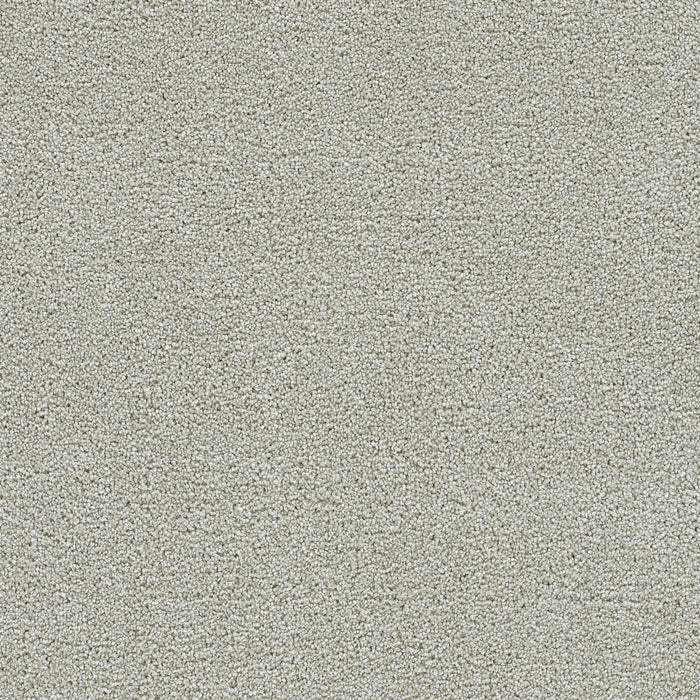 Clearwater I Polyester Brightwater 4261 Carpet Textured 1