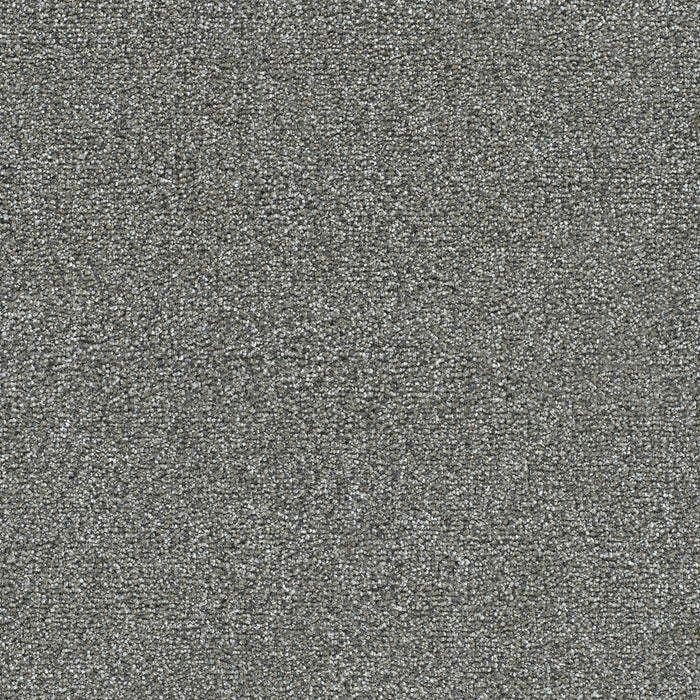 Clearwater I Polyester Beach Lava 4272 Carpet Textured 1