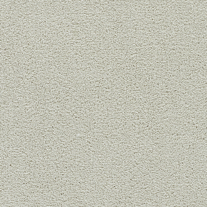 Clearwater III Polyester Snowball 4341 Carpet Textured 1