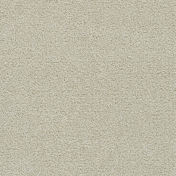 Clearwater III Polyester Solar Flair 4501 Carpet Textured 1