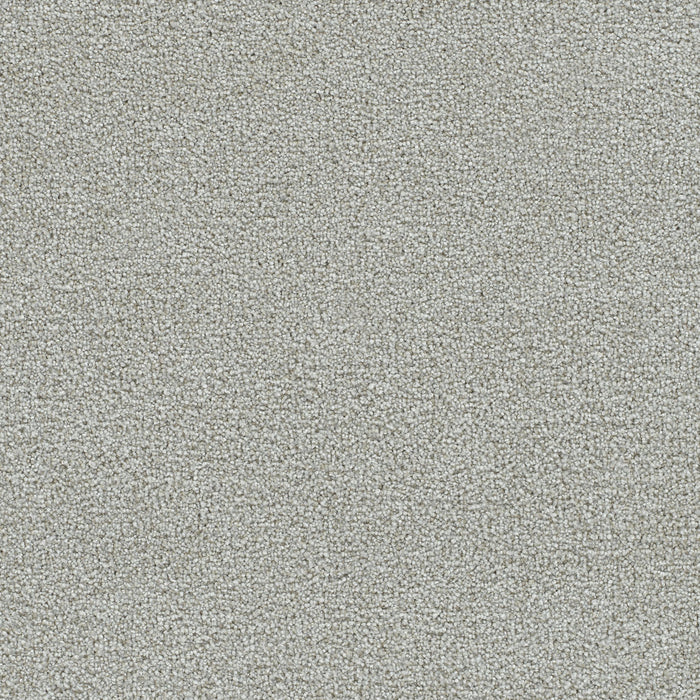 Clearwater III Polyester Star Light 5190 Carpet Textured 1