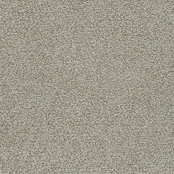 Clearwater III Polyester Kindling 743 Carpet Textured 1
