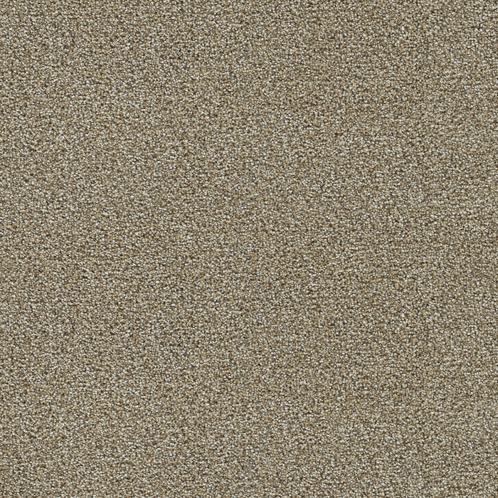 Clearwater II Polyester Toasted Oat 774 Carpet Textured 1