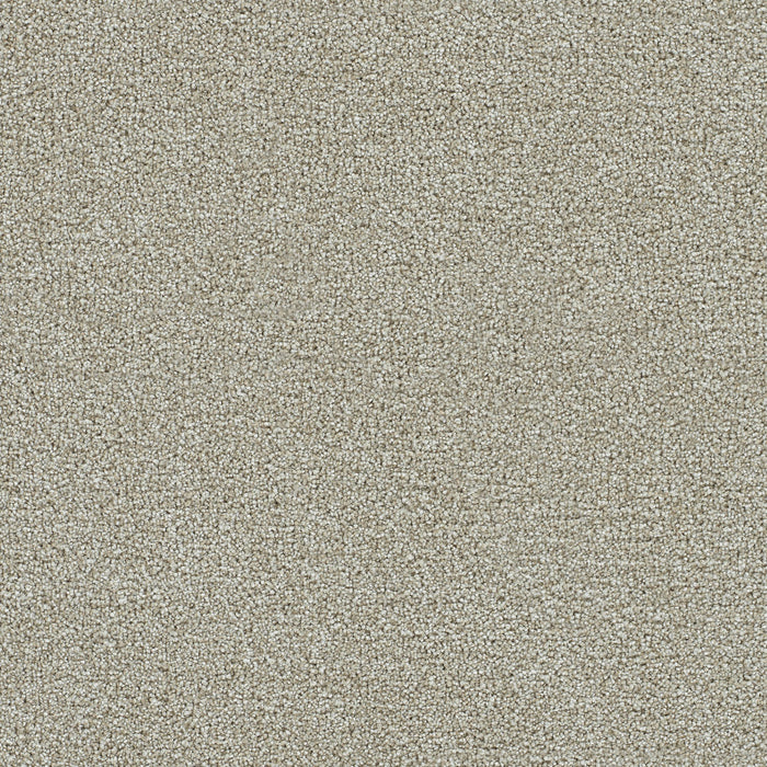 Clearwater III Polyester Barnwood 781 Carpet Textured 1
