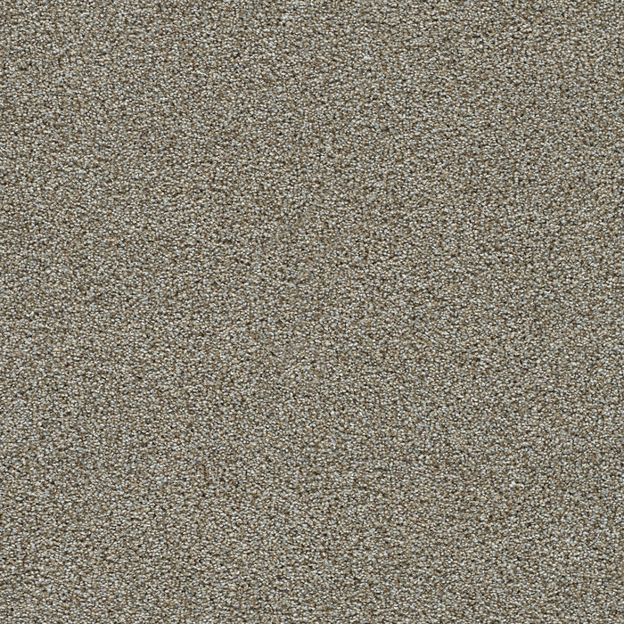 Clearwater III Polyester Iron Gate 785 Carpet Textured 1