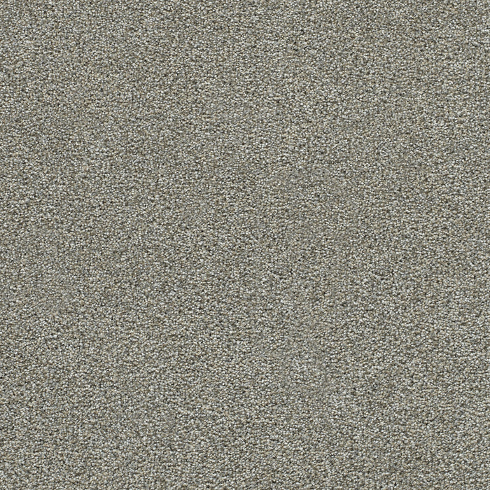 Clearwater II Polyester Gravel Stone 790 Carpet Textured 1
