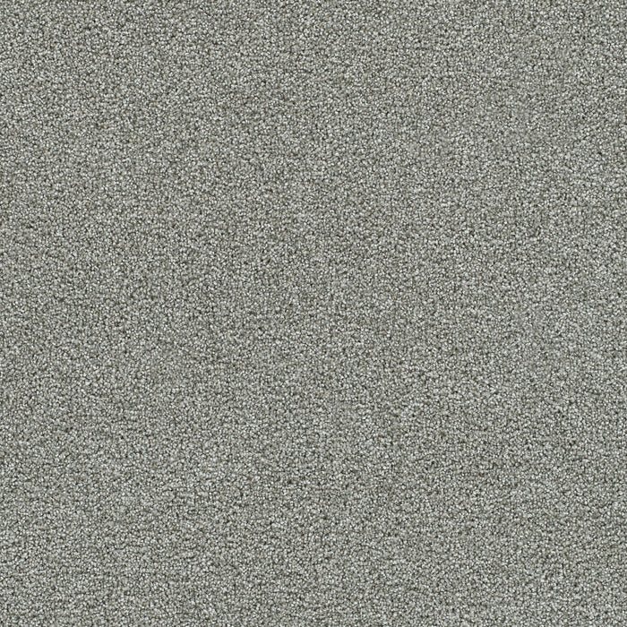 Clearwater I Polyester Creek Bend 832 Carpet Textured 1