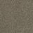Clearwater I Polyester Dark Truffle 834 Carpet Textured 1