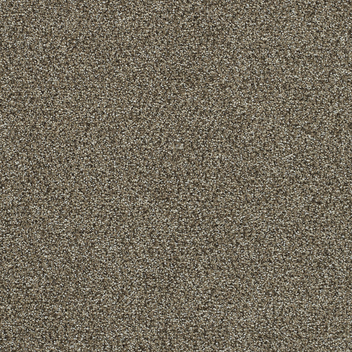 Clearwater I Polyester Dark Truffle 834 Carpet Textured 1
