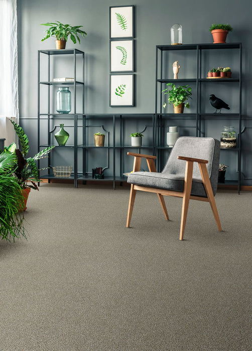Clearwater III Polyester Iron Gate 785 Carpet Textured 2