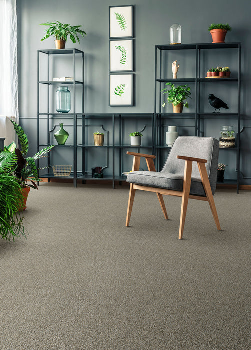 Clearwater II Polyester Iron Gate 785 Carpet Textured 2