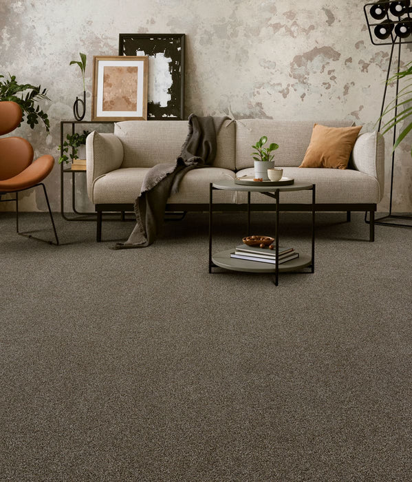 Clearwater III Polyester Dark Truffle 834 Carpet Textured 2