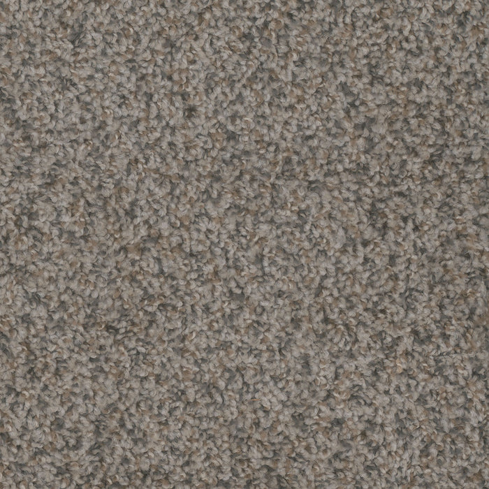 Step Up Polyester Carbon Crystals 255 Carpet Textured 1