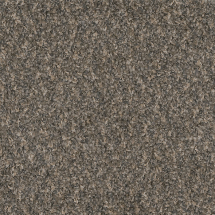 Step Up Polyester Belle Grove 328 Carpet Textured 1