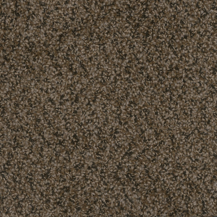 Step Up Polyester Rustic Charm 383 Carpet Textured 1
