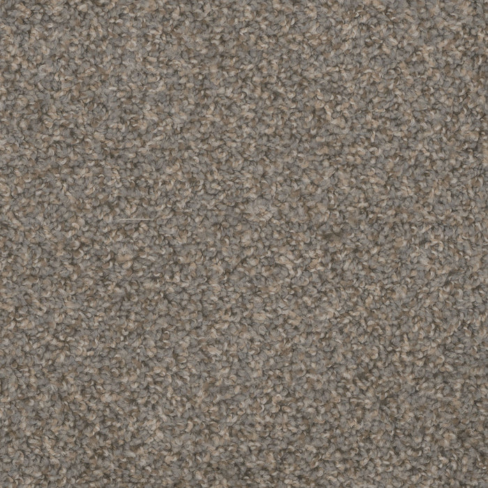 Step Up Polyester Stonehenge 388 Carpet Textured 1