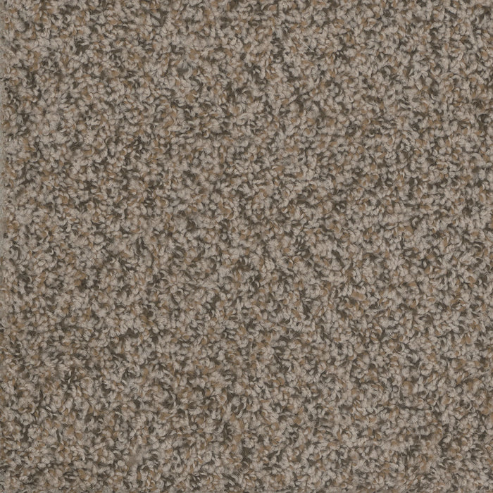 Step Up Polyester Gingerbread 390 Carpet Textured 1