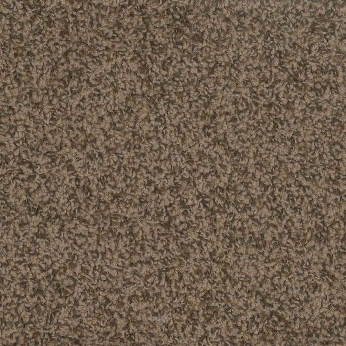 Step Up Polyester Agate 512 Carpet Textured 1