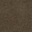 Step Up Polyester Boulder 552 Carpet Textured 1
