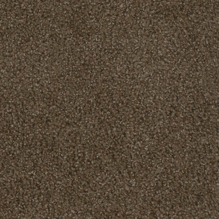 Step Up Polyester Boulder 552 Carpet Textured 1
