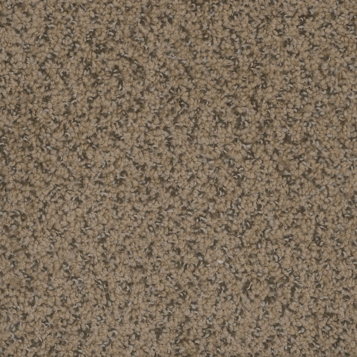 Step Up Polyester Fawn 759 Carpet Textured 1