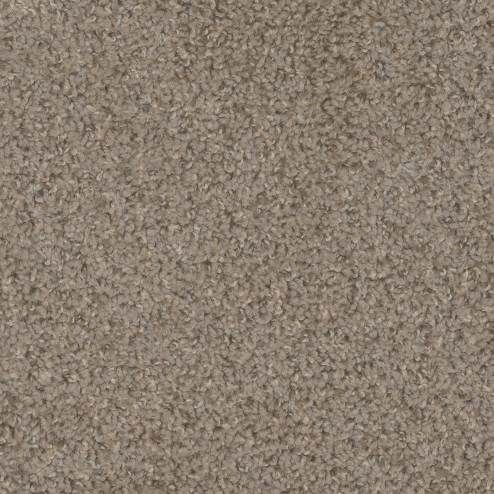 Step Up Polyester Almond 782 Carpet Textured 1