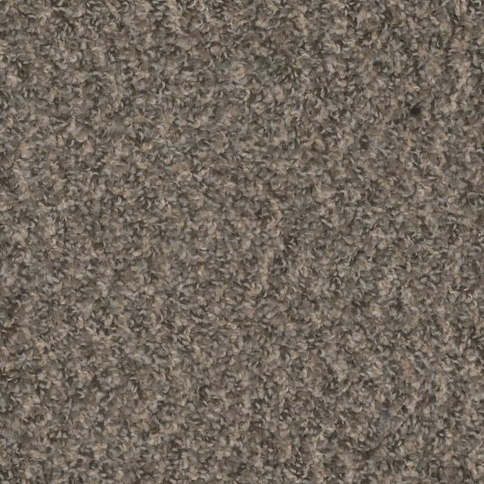 Step Up Polyester Ironside 783 Carpet Textured 1