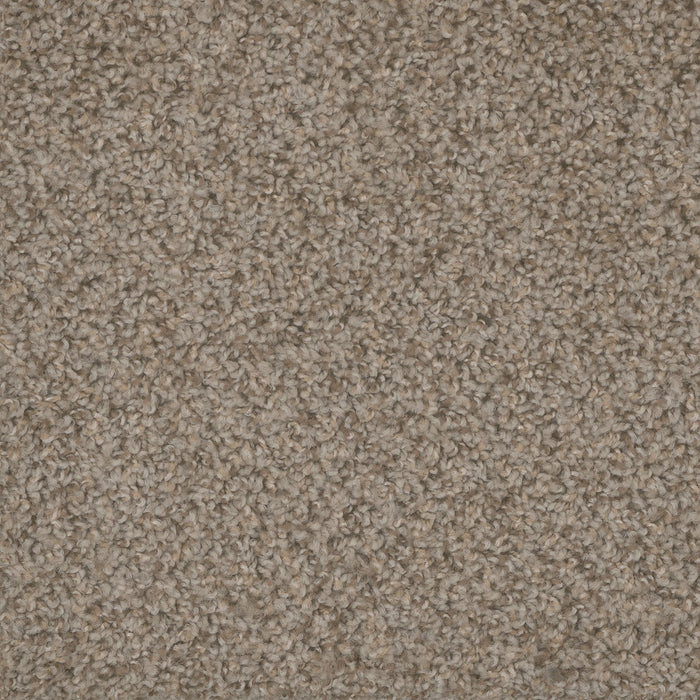 Step Up Polyester Azure 803 Carpet Textured 1
