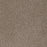 Step Up Polyester Cinder 835 Carpet Textured 1