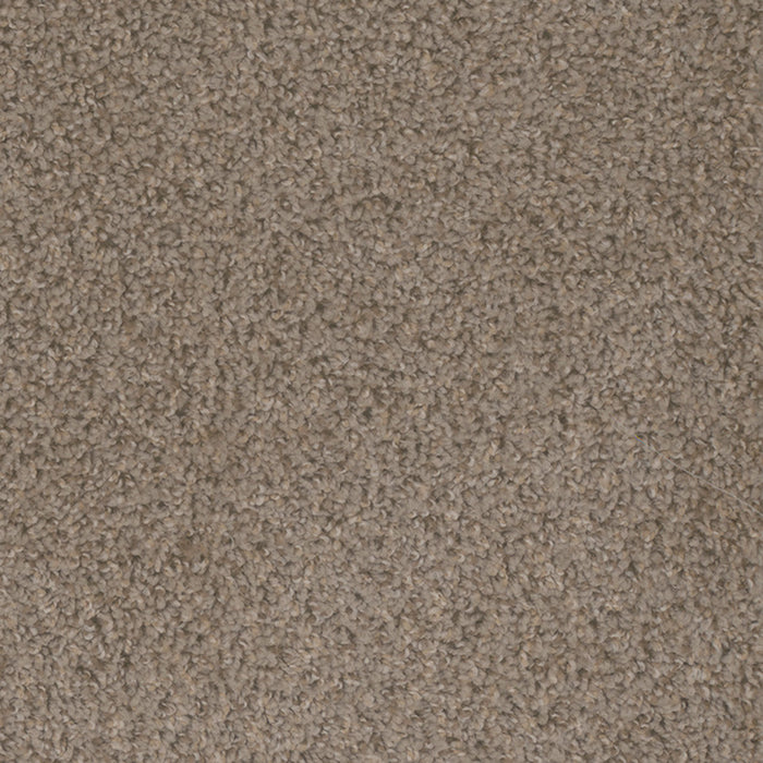 Step Up Polyester Cinder 835 Carpet Textured 1