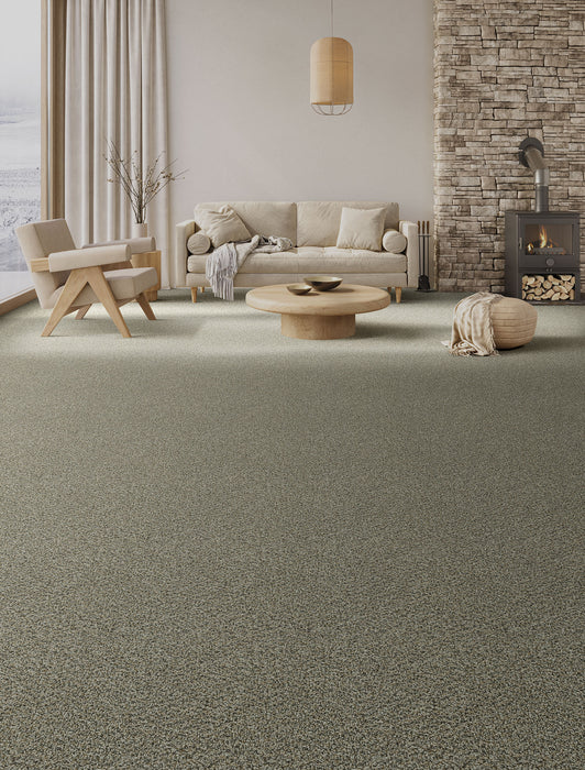 Step Up Polyester Carbon Crystals 255 Carpet Textured 2