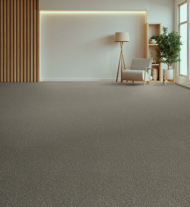Step Up Polyester Stonehenge 388 Carpet Textured 2