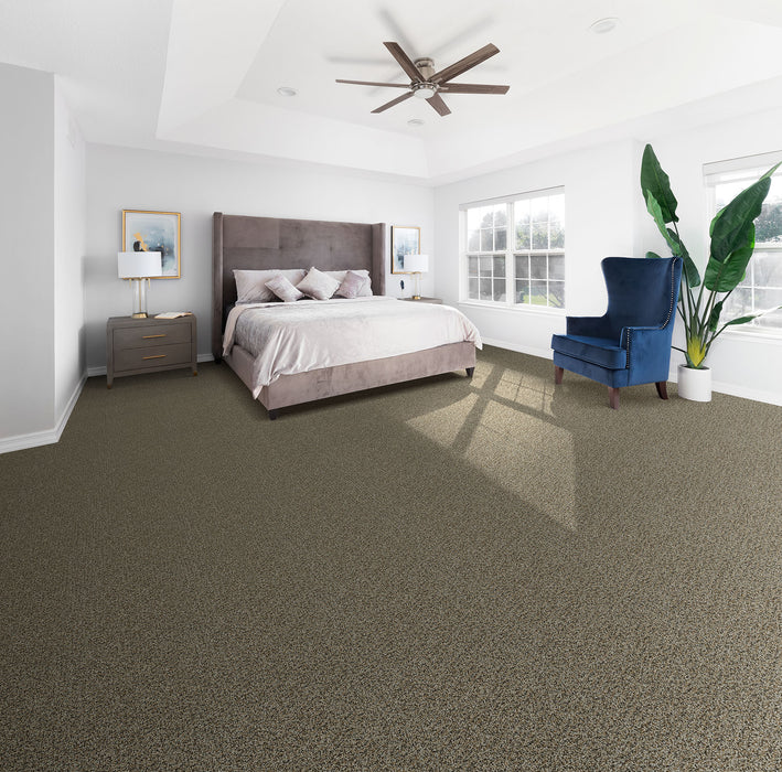 Step Up Polyester Gingerbread 390 Carpet Textured 2