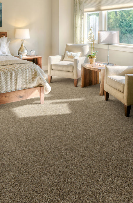 Step Up Polyester Boulder 552 Carpet Textured 2