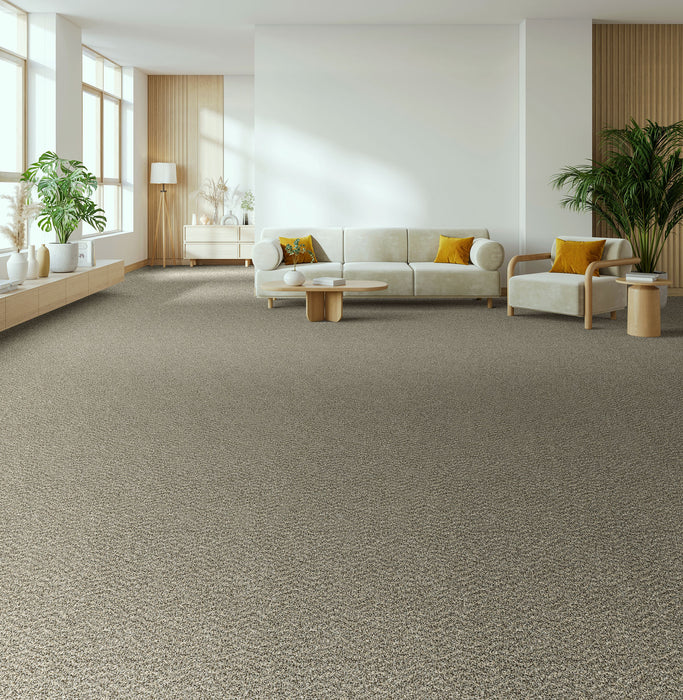 Step Up Polyester Ironside 783 Carpet Textured 2