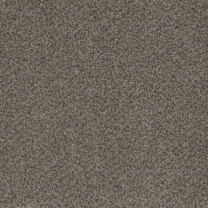 Hot Pursuit Polyester Carbon Crystals 255 Carpet Textured 1