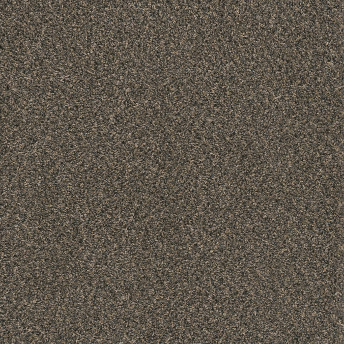 Hot Pursuit Polyester Belle Grove 328 Carpet Textured 1
