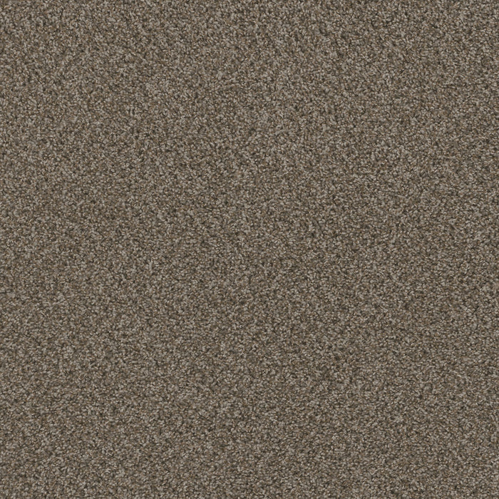 Hot Pursuit Polyester Desert Jasper 339 Carpet Textured 1