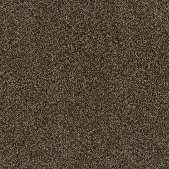 Hot Pursuit Polyester Rustic Charm 383 Carpet Textured 1