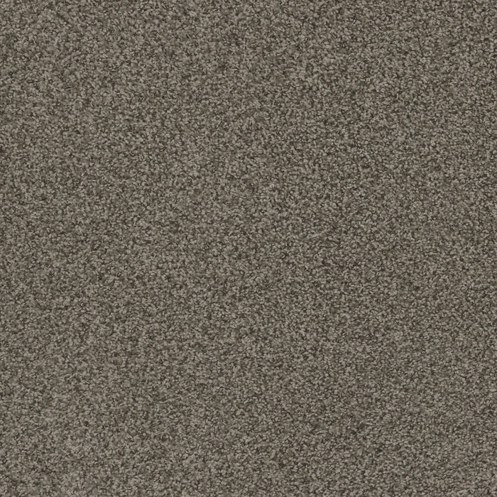 Hot Pursuit Polyester Asbury 433 Carpet Textured 1