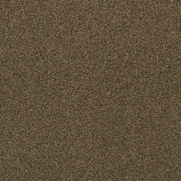 Hot Pursuit Polyester Agate 512 Carpet Textured 1