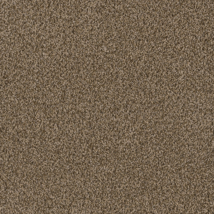 Hot Pursuit Polyester Shimmer 711 Carpet Textured 1