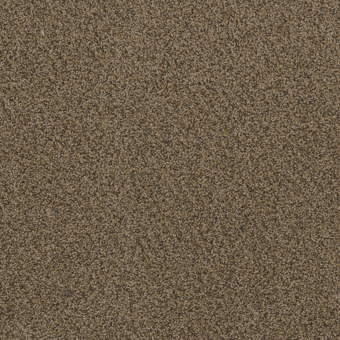 Hot Pursuit Polyester Fawn 759 Carpet Textured 1