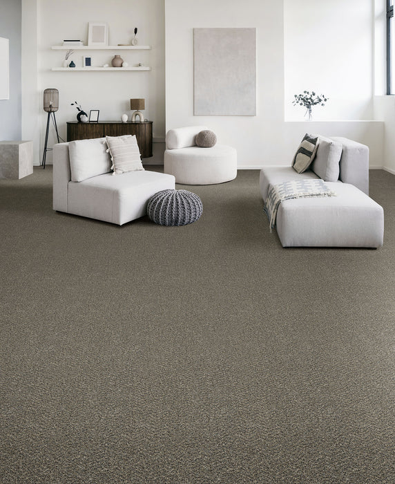 Hot Pursuit Polyester Belle Grove 328 Carpet Textured 2