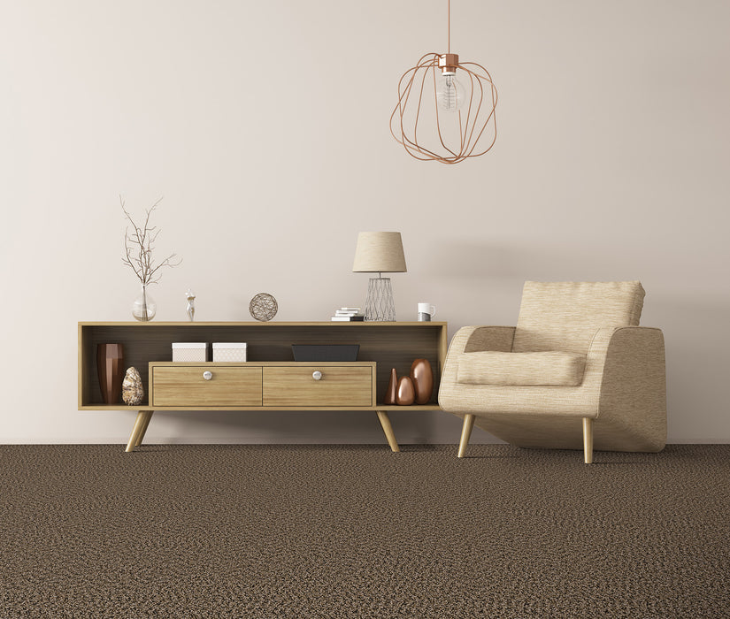 Hot Pursuit Polyester Rustic Charm 383 Carpet Textured 2