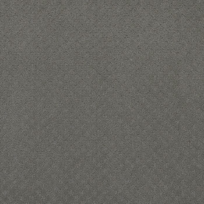 Capri Polyester Skyway 6009 Carpet Loop 1