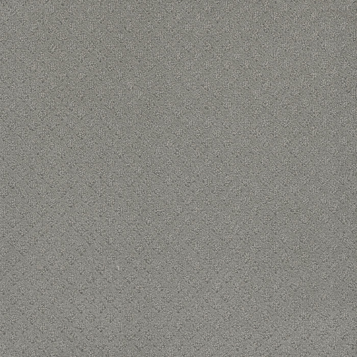Capri Polyester Icefield 620 Carpet Loop 1