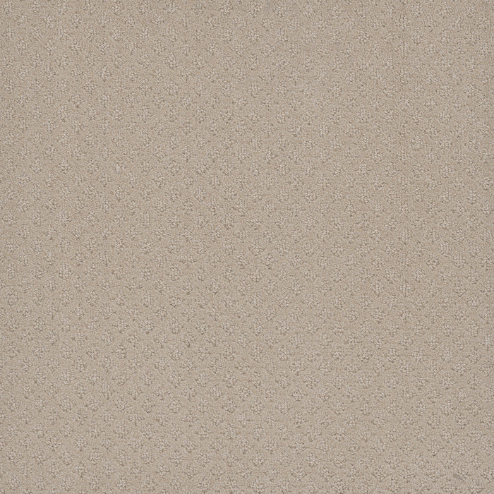 Capri Polyester Champagne Fizz 6309 Carpet Loop 1