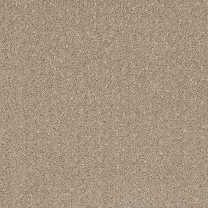 Capri Polyester Soft Pine 6317 Carpet Loop 1